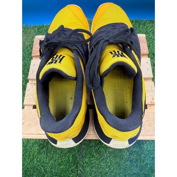 Nike Kyrie Flytrap1 \'Yellow Black\' 2018 Men Size 12 Basketball Shoes AO8979-700